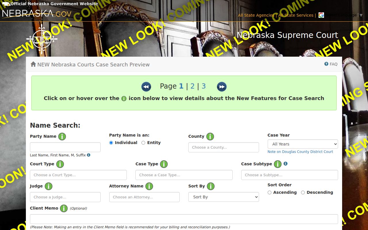 Deuel County court record search form demonstration with party and court fields